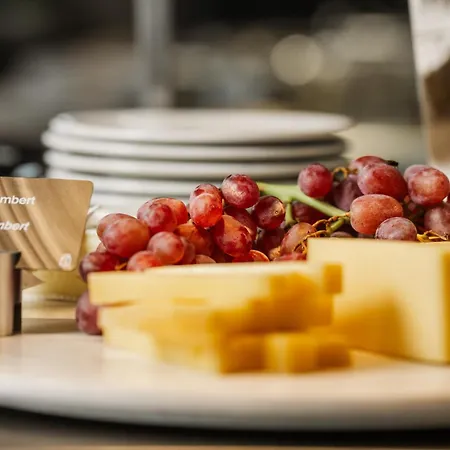 Radisson Blu Frankfurt מלון 4*