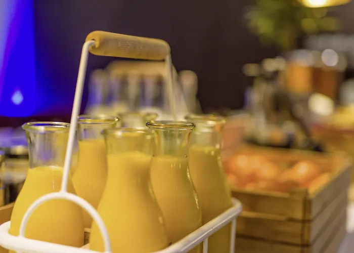 Radisson Blu Frankfurt Hotel Frankfurt am Main